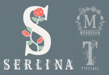 Serlina Font Poster 1