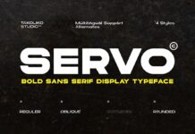 Servo Font Poster 1
