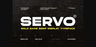 Servo Font Poster 1
