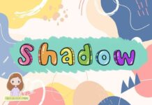 Shadow Font Poster 1