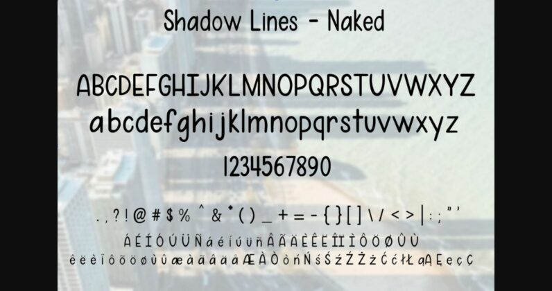 Shadow Lines Font Poster 5