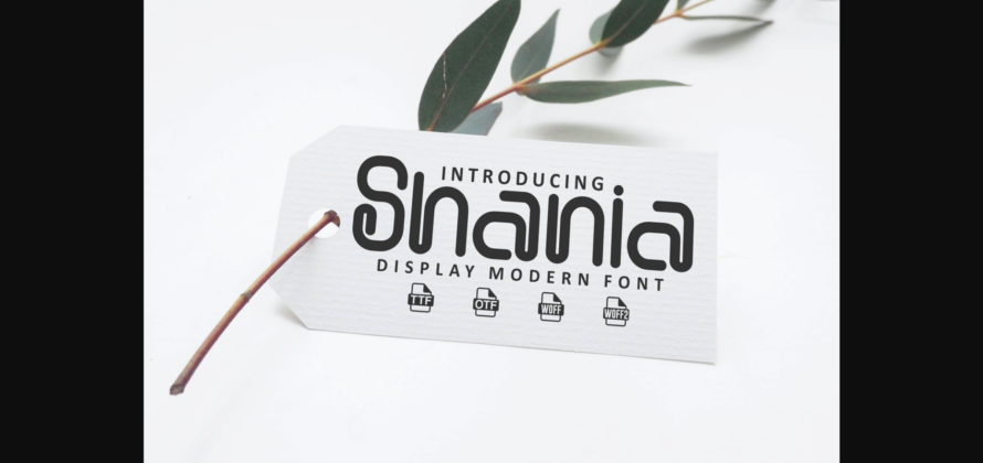Shania Font Poster 5