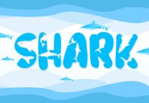 Shark Font Poster 1