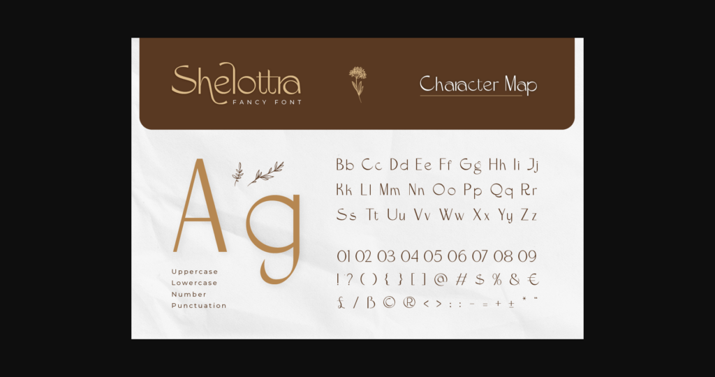 Shelottra Font Poster 4