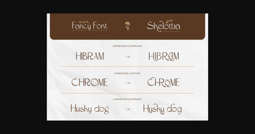 Shelottra Font Poster 7