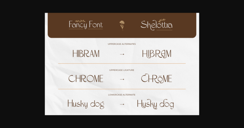 Shelottra Font Poster 7