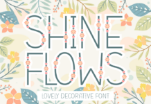 Shine Flows Font Poster 1