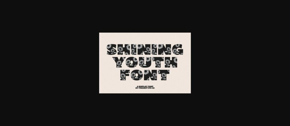 Shining Youth Font Poster 3
