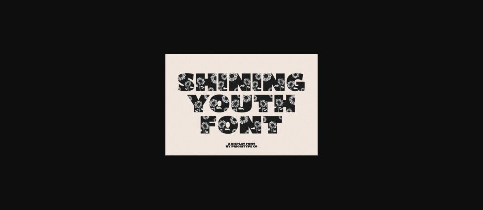 Shining Youth Font Poster 3