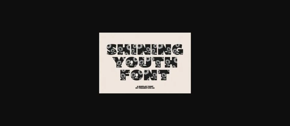 Shining Youth Font Poster 1