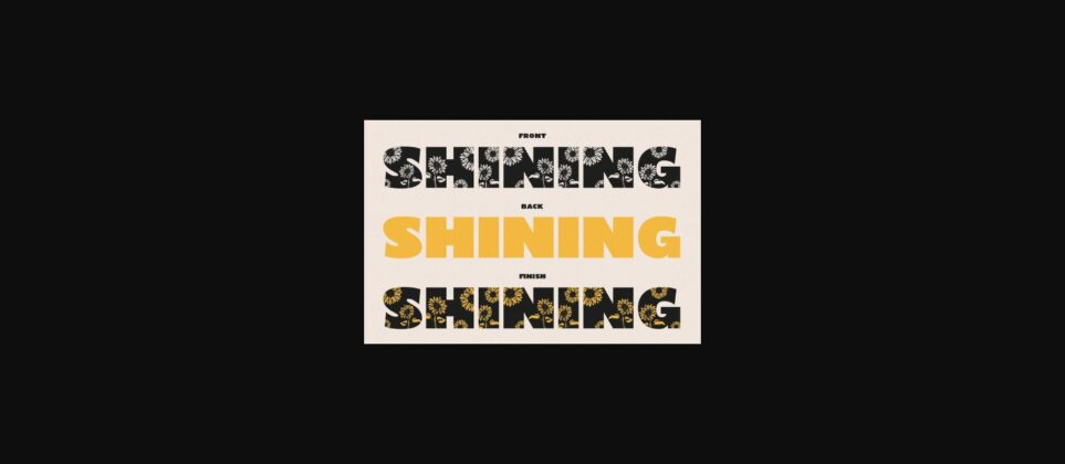 Shining Youth Font Poster 4
