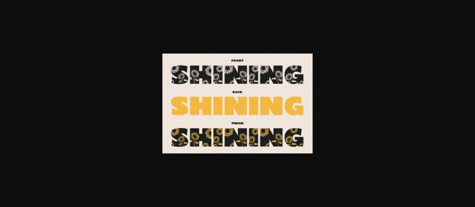 Shining Youth Font Poster 2