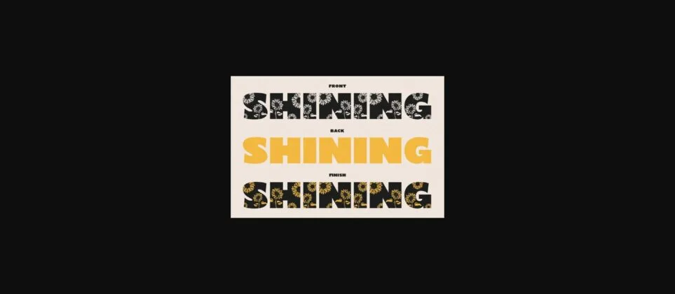 Shining Youth Font Poster 2