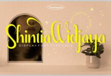 Shintia Widjaya Font Poster 1