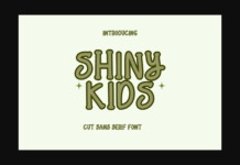 Shiny Kids Poster 1
