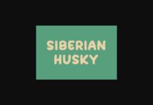 Siberian Husky Font Poster 1
