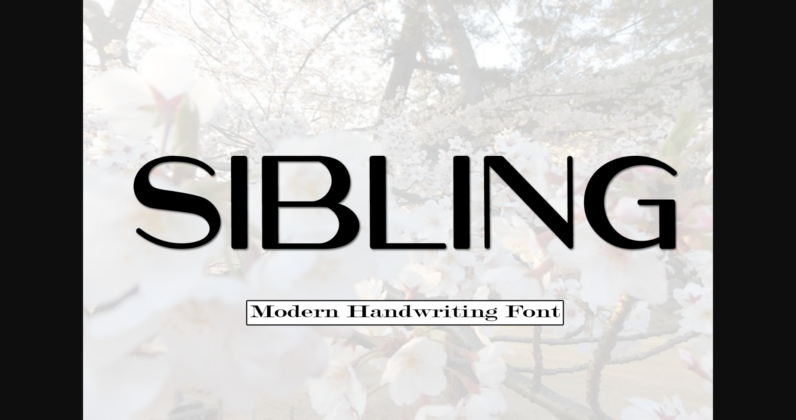 Sibling Font Poster 3