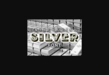 Silver Font Poster 1