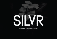 Silvr Font Poster 1