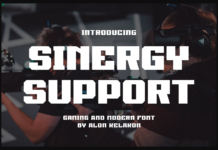 Sinergy Support Font Poster 1