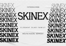 Skinex Poster 1