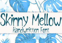 Skinny Mellow Font Poster 1