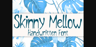 Skinny Mellow Font Poster 1