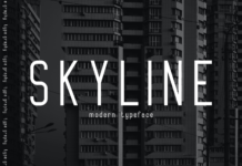 Skyline Font Poster 1