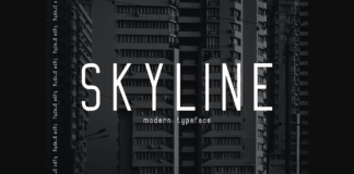 Skyline Font Poster 1