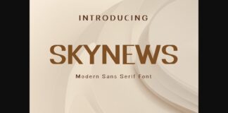 Skynews Font Poster 1