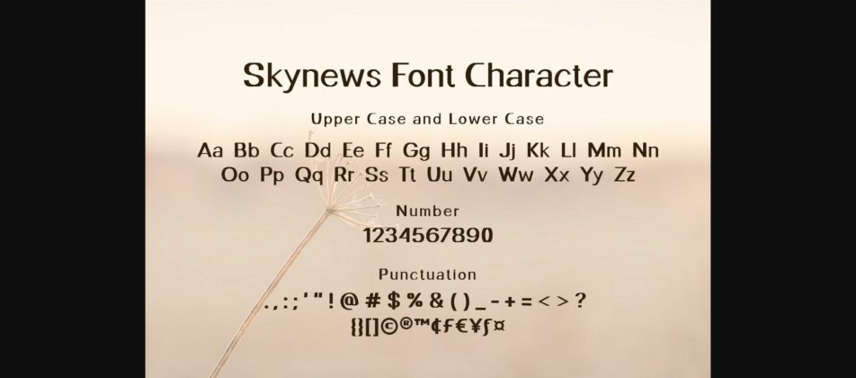 Skynews Font Poster 7