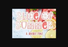 Slice of Summer Font Poster 1