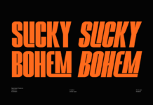 Slicky Bohem Font Poster 1