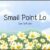Smail Point Lo Font