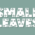 Small Leaves Font