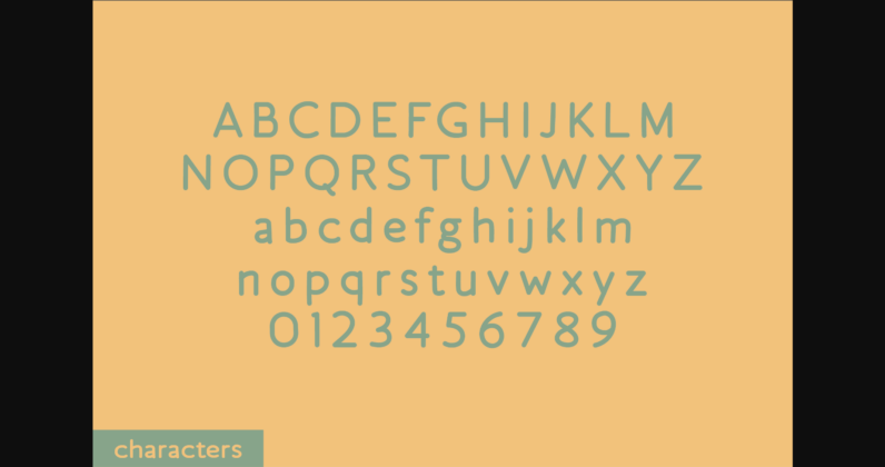 Snickerdoodle Font Poster 4