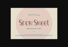 Snow Sweet Font Poster 1