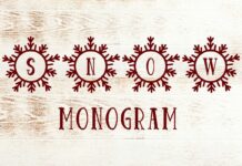 Snow Monogram Font Poster 1