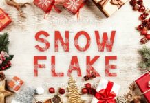 Snowflake Font Poster 1