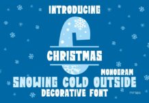 Snowing Cold Outside Font Poster 1