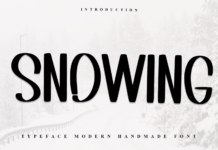 Snowing Font Poster 1