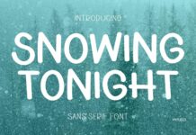 Snowing Tonight Font Poster 1