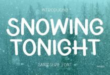 Snowing Tonight Font Poster 1