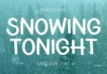 Snowing Tonight Font Snowing Tonight Font Poster 1