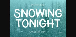 Snowing Tonight Font Poster 1