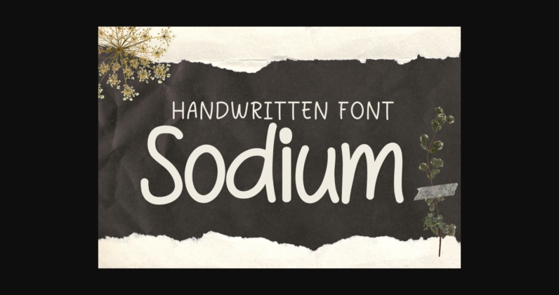 Sodium Font Poster 3