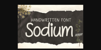 Sodium Font Poster 1