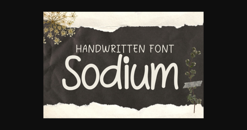 Sodium Font Poster 1