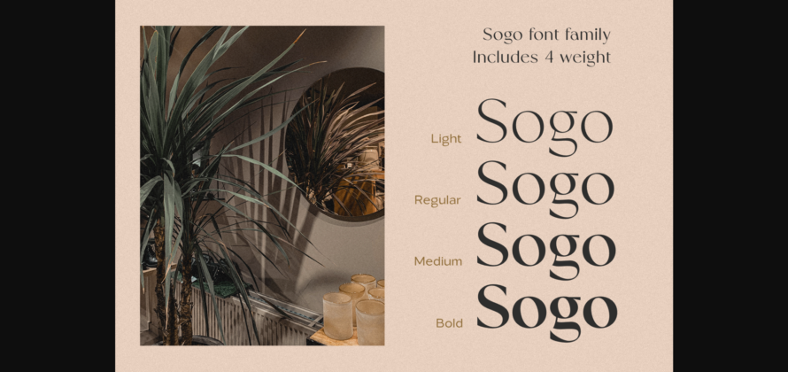 Sogo Font Poster 5