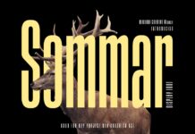 Sommar Font Poster 1